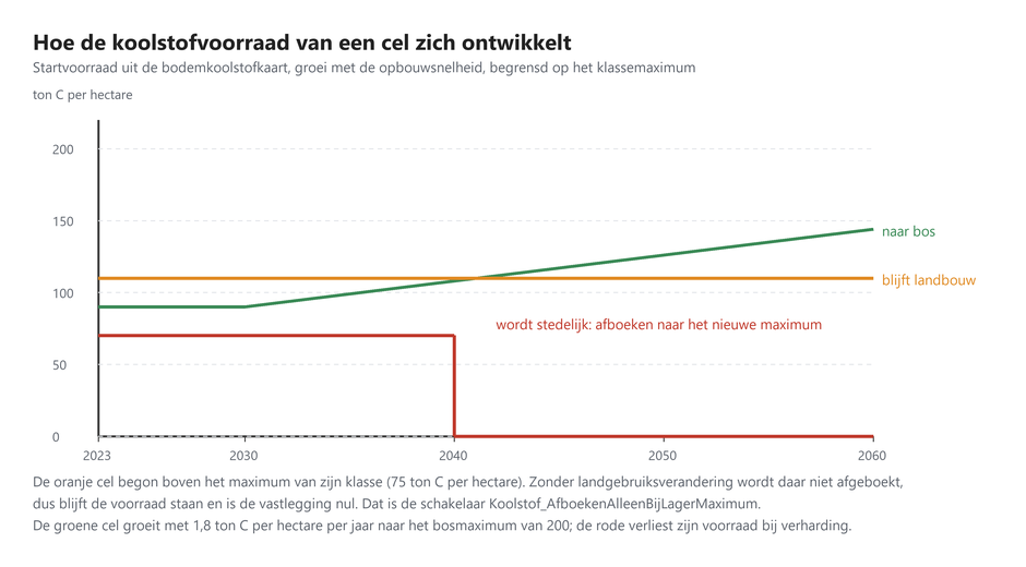 Hoe de koolstofvoorraad van een cel zich ontwikkelt
